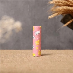 Lip Balm Push Up Paper Tube